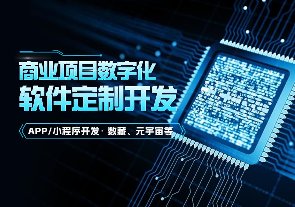 軟件定制開發(fā)公司